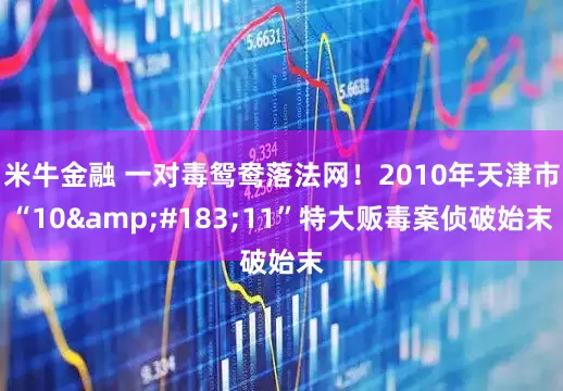 米牛金融 一对毒鸳鸯落法网！2010年天津市“10&#183;11”特大贩毒案侦破始末
