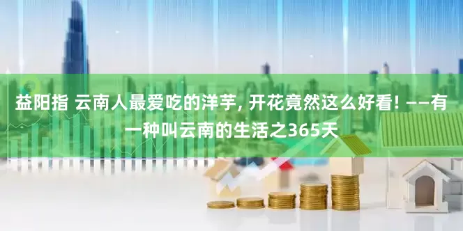 益阳指 云南人最爱吃的洋芋, 开花竟然这么好看! ——有一种叫云南的生活之365天