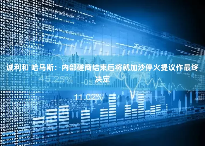 诚利和 哈马斯：内部磋商结束后将就加沙停火提议作最终决定