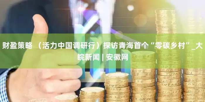 财盈策略 （活力中国调研行）探访青海首个“零碳乡村”_大皖新闻 | 安徽网