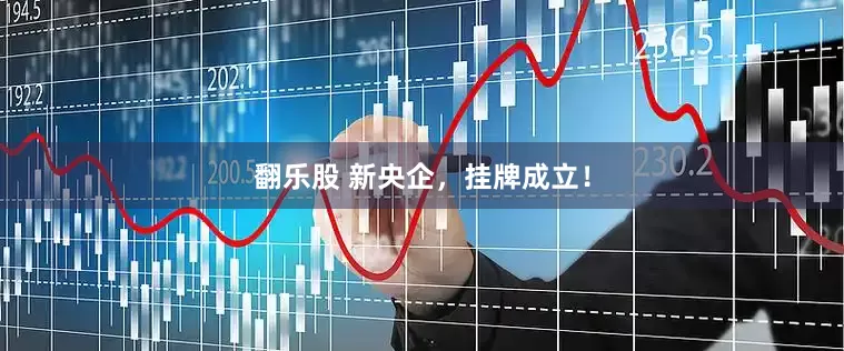 翻乐股 新央企，挂牌成立！