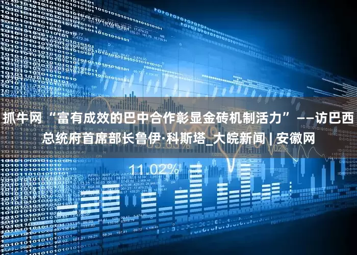 抓牛网 “富有成效的巴中合作彰显金砖机制活力” ——访巴西总统府首席部长鲁伊·科斯塔_大皖新闻 | 安徽网