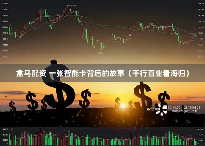 盒马配资 一张智能卡背后的故事（千行百业看海归）