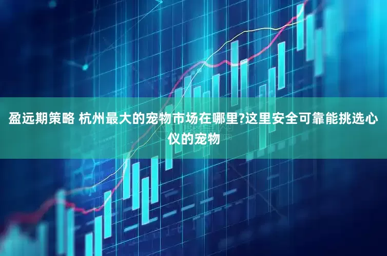 盈远期策略 杭州最大的宠物市场在哪里?这里安全可靠能挑选心仪的宠物