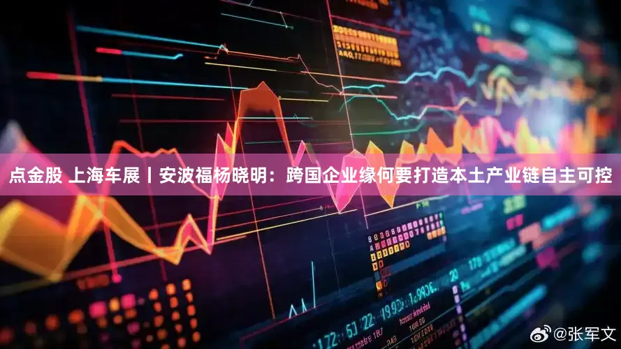 点金股 上海车展丨安波福杨晓明：跨国企业缘何要打造本土产业链自主可控