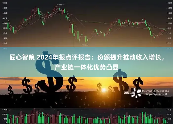 匠心智策 2024年报点评报告：份额提升推动收入增长，产业链一体化优势凸显