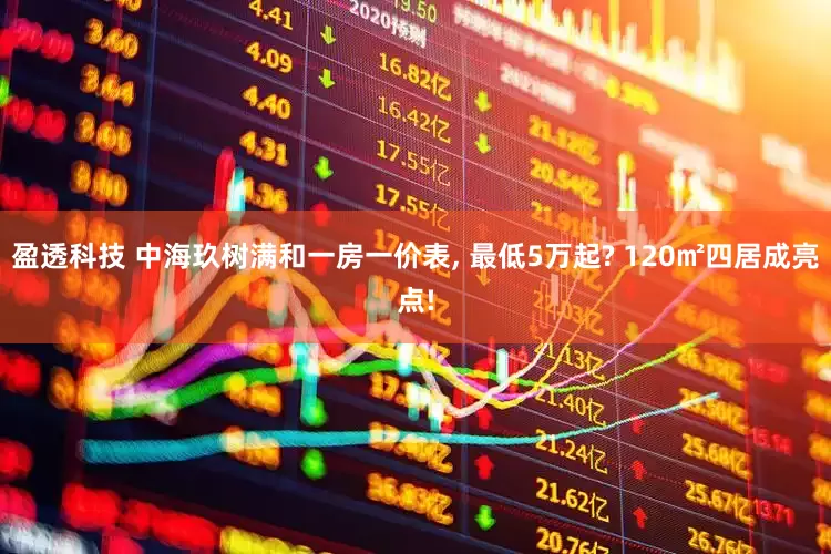 盈透科技 中海玖树满和一房一价表, 最低5万起? 120㎡四居成亮点!