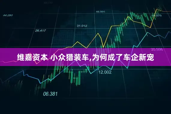 维嘉资本 小众猎装车,为何成了车企新宠