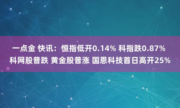 一点金 快讯：恒指低开0.14% 科指跌0.87% 科网股普跌 黄金股普涨 国恩科技首日高开25%